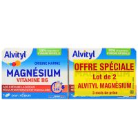 Magnésium vitamine B6 2x45 comprimés