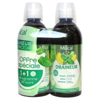 Draineur minceur Ultra menthe citron concombre solution buvable 2x500ml