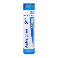 Ambra Grisea tube granule