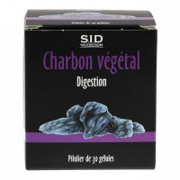 Charbon végétal digestion
