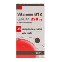 Vitamine B12 GERDA 250ug 24 comprimés