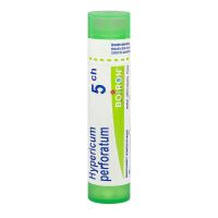 Hypericum perforatum tube granule