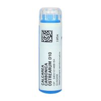 Calcarea carbonica ostrearum D10 tube 4g