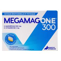 Megamag One 45 comprimés