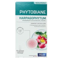 Phytobiane Harpagophytum confort articulaire 45 comprimés