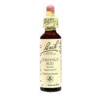 Bach chestnut bud n°07 20ml