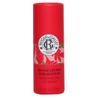 Baume lèvres sublimateur gingembre rouge 3,5g