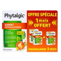 Phytalgic Expert articulations 3 mois 270 capsules