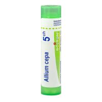 Allium Cepa tube granule