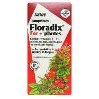 Floradix fer + plantes 84 comprimés