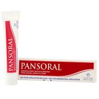 Pansoral gel adulte gel buccal 15g