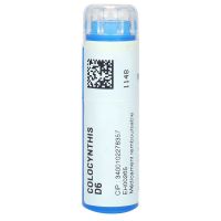 Colocynthis D6 tube 4g