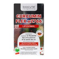 Curcumin Flex x2766 liposomal 120 gélules