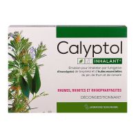 Calyptol ampoules par fumigation