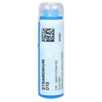 Stramonium D10 tube 4g