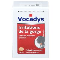 Vocadys irritations de la gorge 30 pâtes à sucer