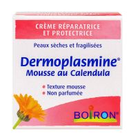 Dermoplasmine crème mousse réparatrice peau sèche 20g
