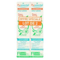 Spray assainissant 41 huiles essentielles 2x200ml