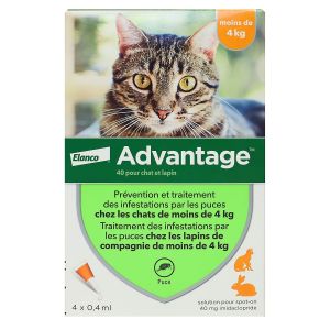Advantage chats & lapins -4kg - 4 pipettes