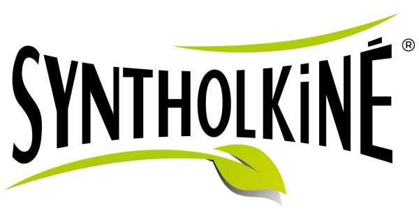 Syntholkiné