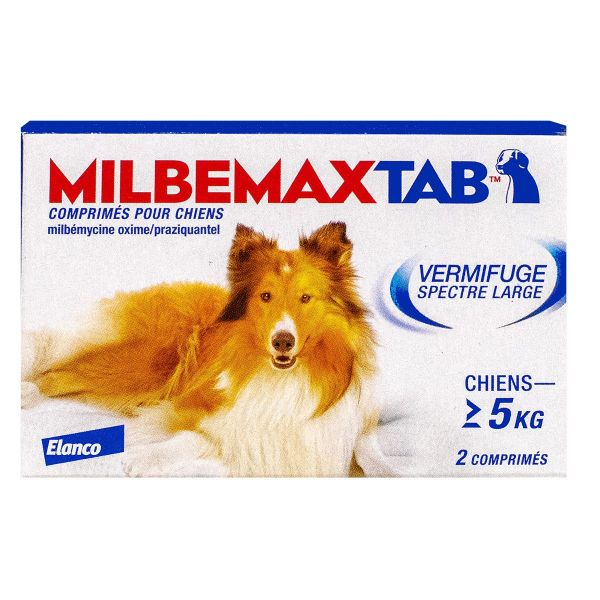 Milbemaxtab Chien 5 Kg Et Plus Vermifuge En Cas De Vers