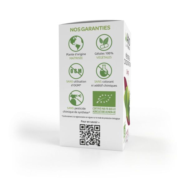 Arkogélules ginkgo mémoire 45 gélules