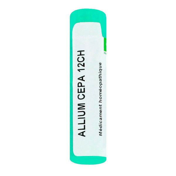 Allium Cepa tube granule